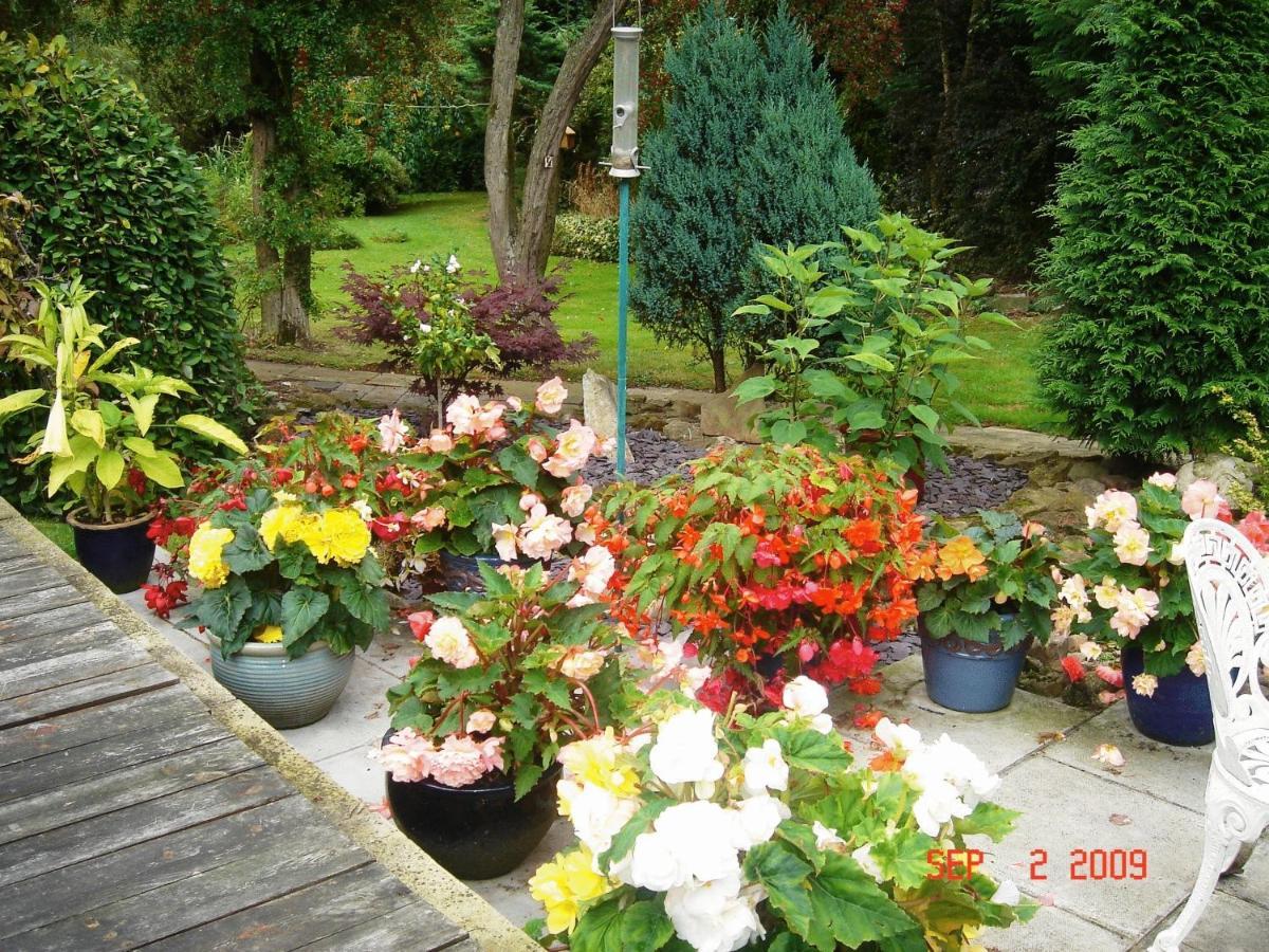 The Willows Bed & Breakfast York Extérieur photo